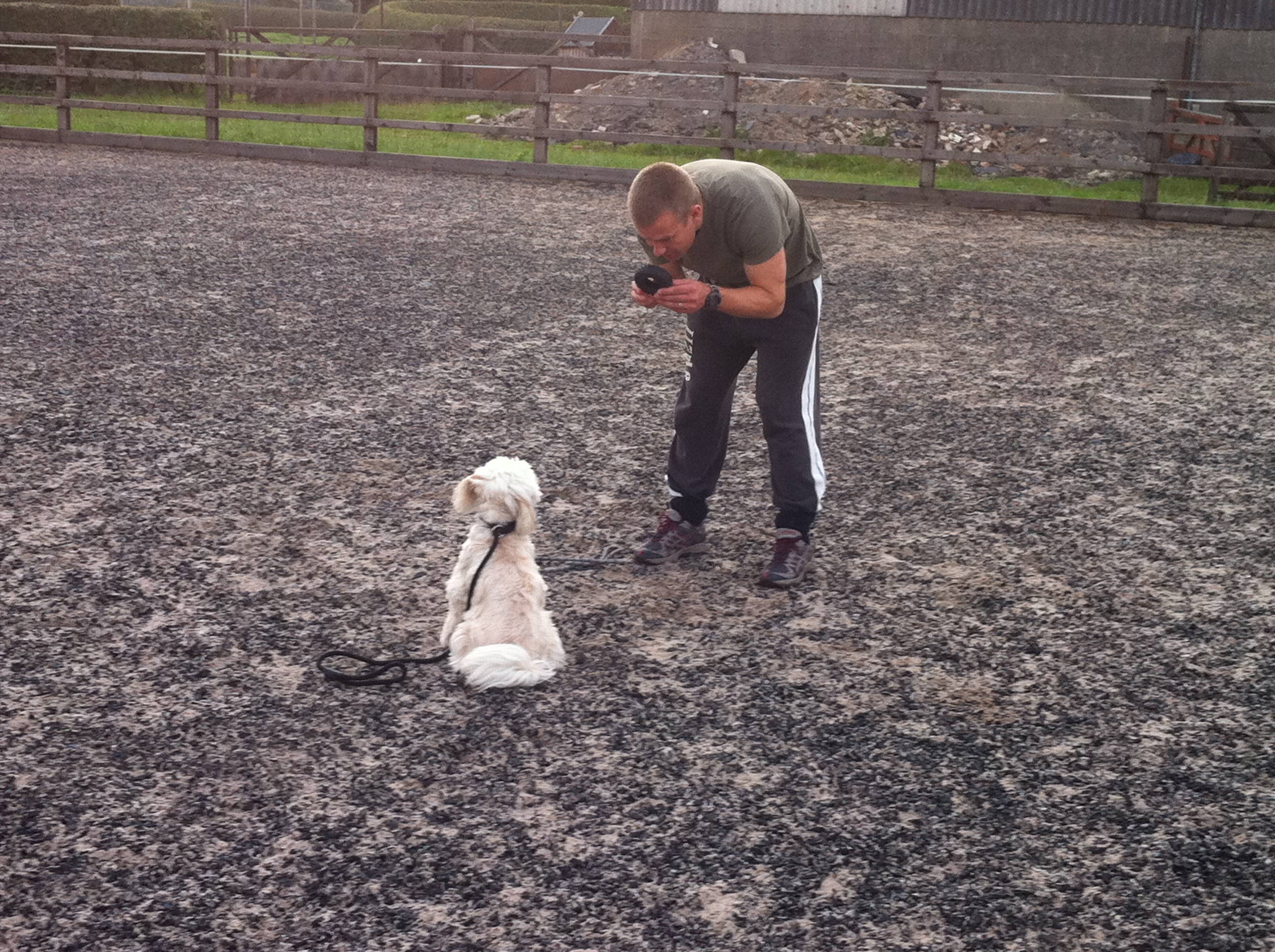 Wednesday Dog Obedience Training Classes, Preston, Lancashire. | Blog