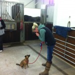 IMG_2375 IMG_2375