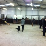 IMG_2377 IMG_2377