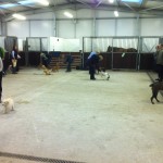 IMG_2379 IMG_2379