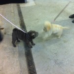 IMG_2380 IMG_2380