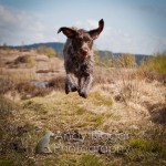 Andy Biggar Photography Andy Biggar Photography