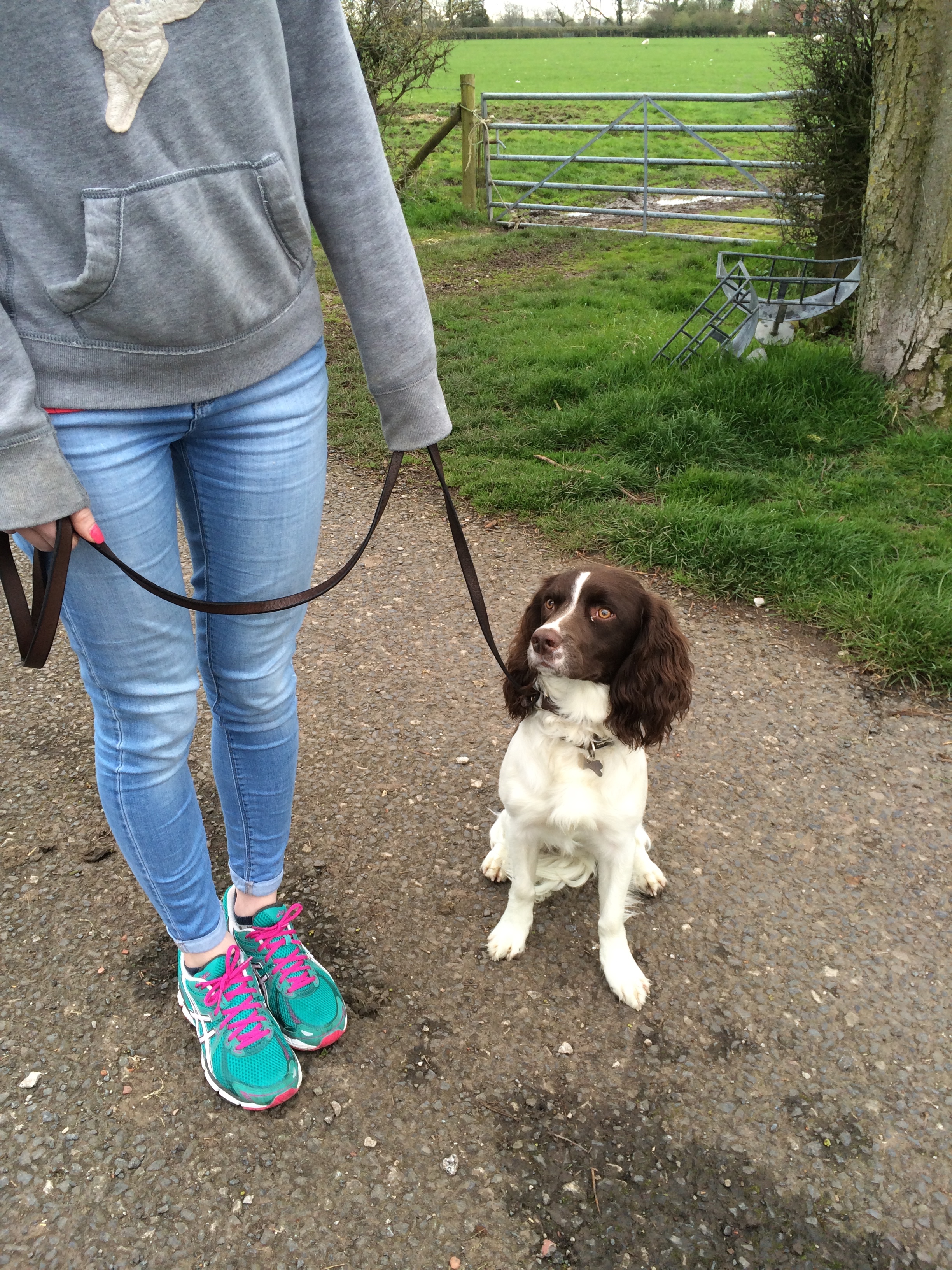 residential dog training